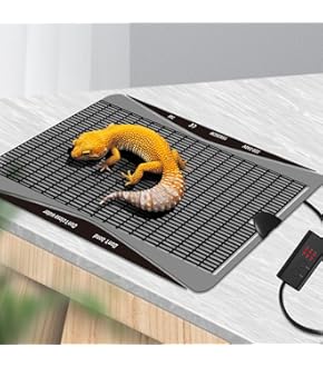 レプタイルヒートL ①②③ レプタイルヒートL24 エキゾテラ 爬虫類用パネルヒーター 販売 通販